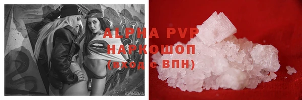 спайс Вяземский