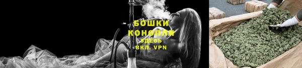 спайс Вяземский