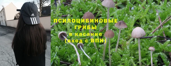 спайс Вязьма