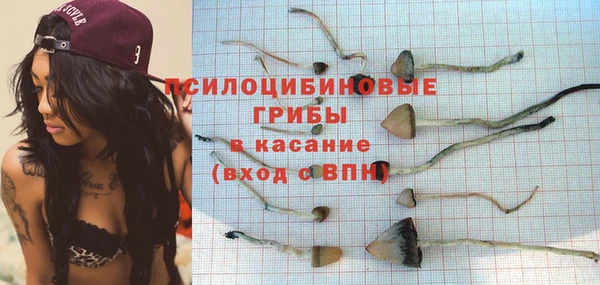 спайс Вяземский