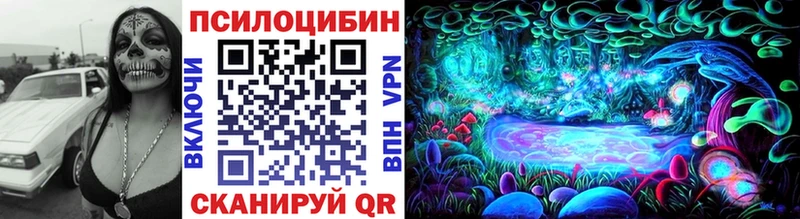 Псилоцибиновые грибы Cubensis  Петров Вал 